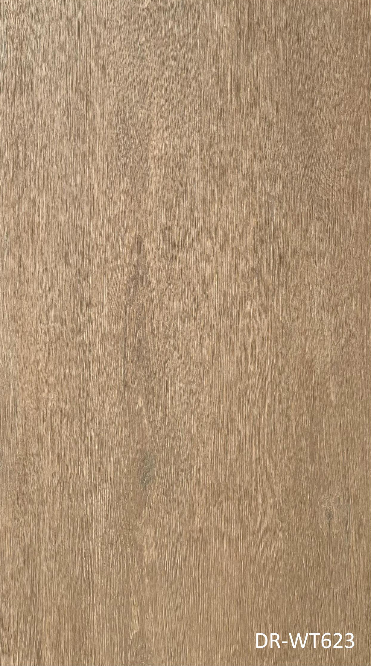 DR-WT623